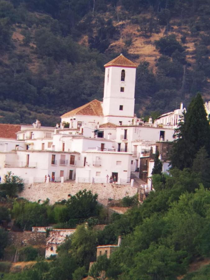 Casa Alpujarrena Fina Numero 27 Holiday home *