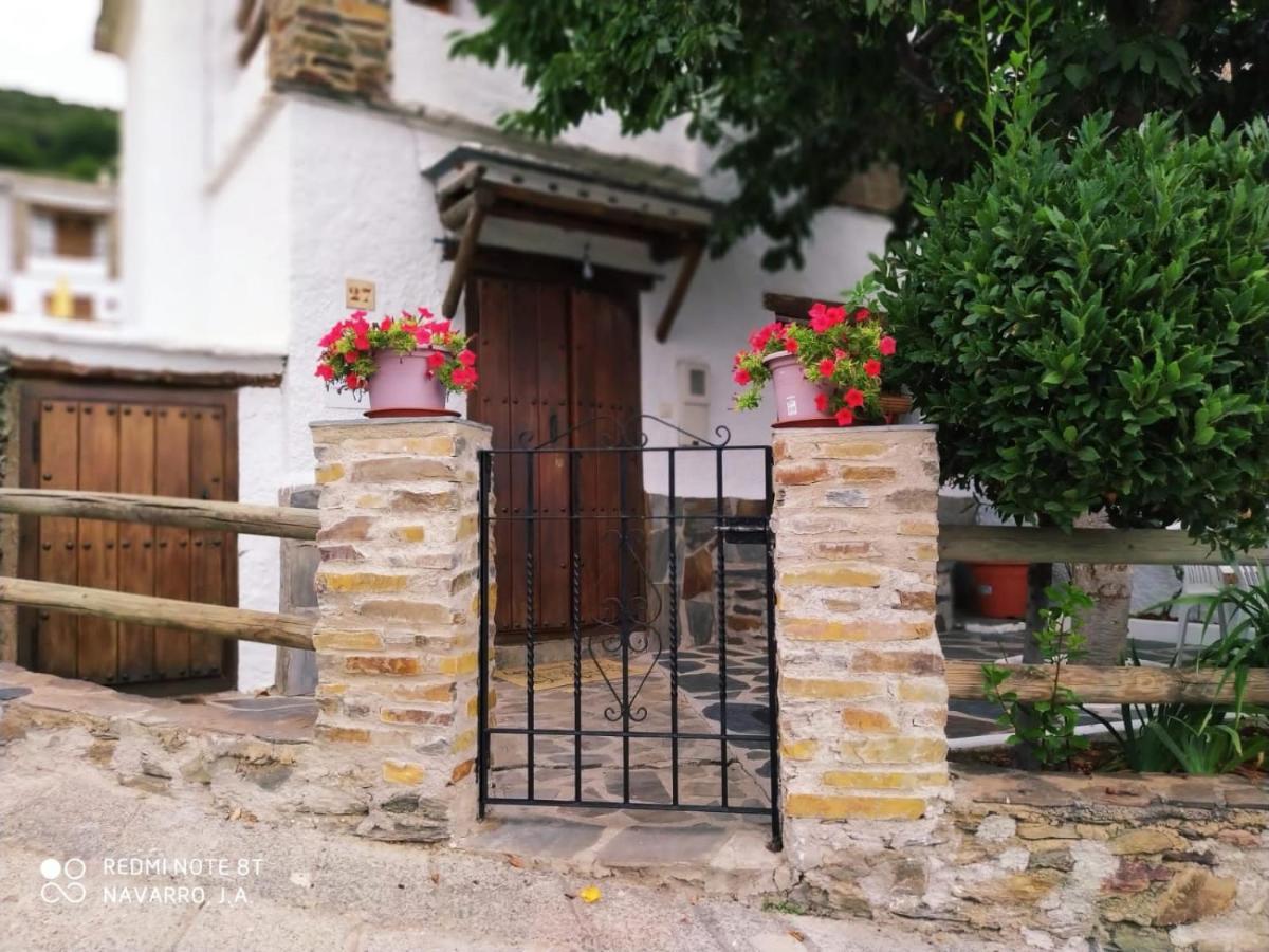 Casa Alpujarrena Fina Numero 27 Holiday home Bubion
