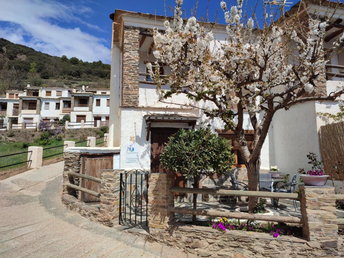 Casa Alpujarrena Fina Numero 27 Holiday home *