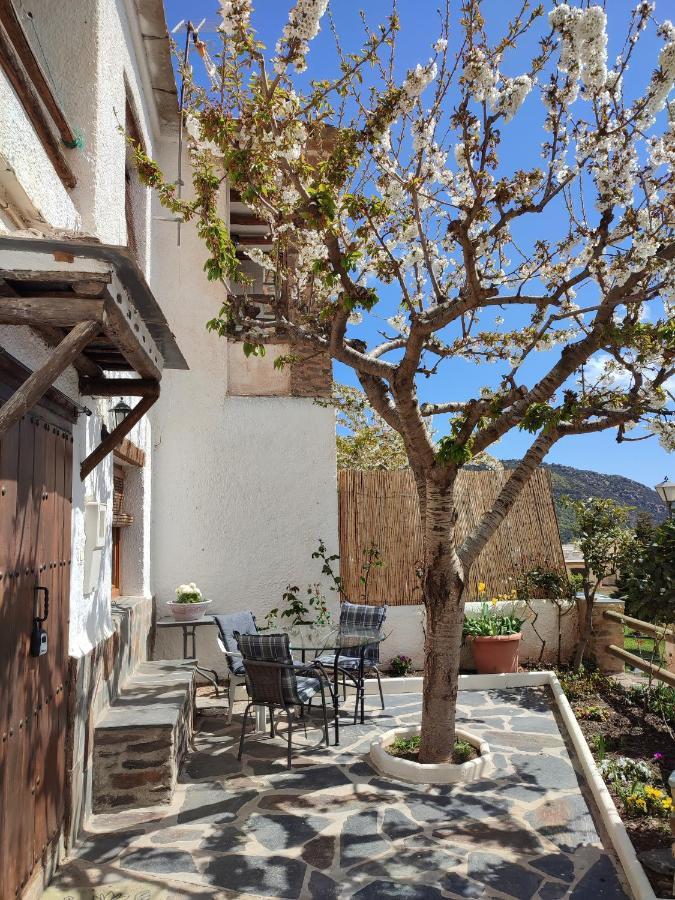 Casa Alpujarrena Fina Numero 27 Holiday home *