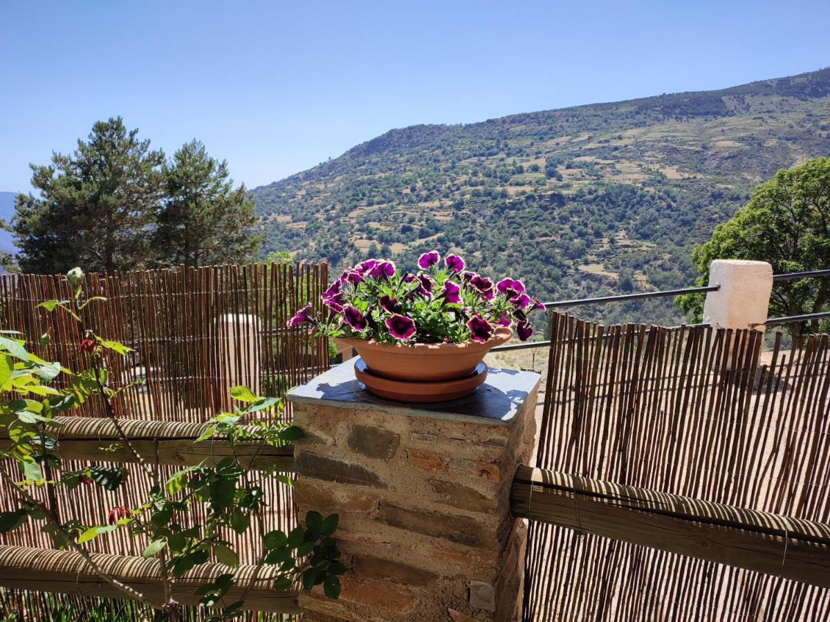 Casa Alpujarrena Fina Numero 27 *