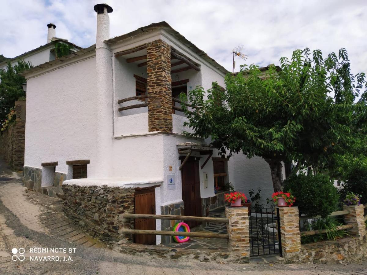 Casa Alpujarrena Fina Numero 27 * Bubión
