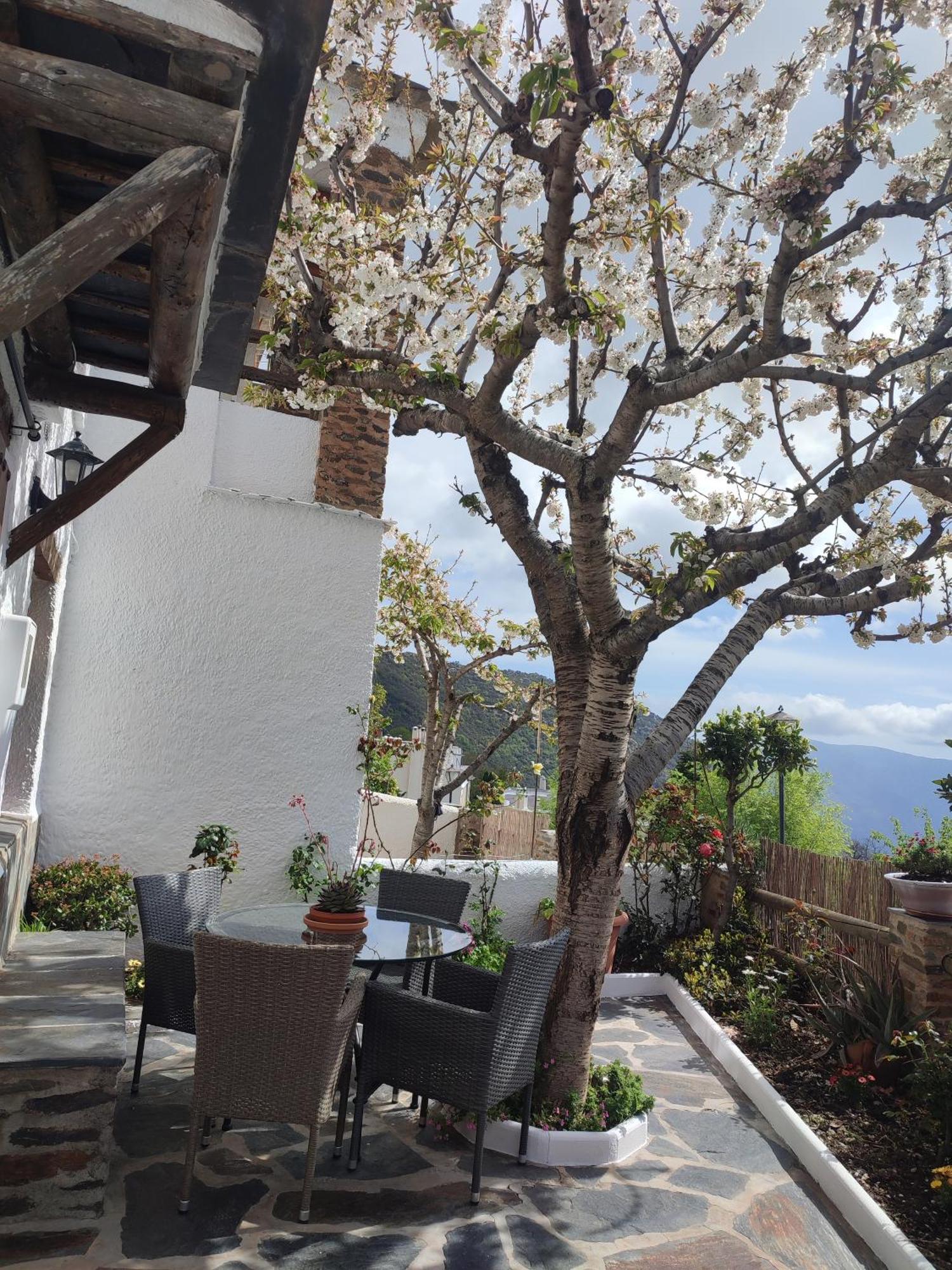 Vakantiehuis Casa Alpujarrena Fina Numero 27 Bubión